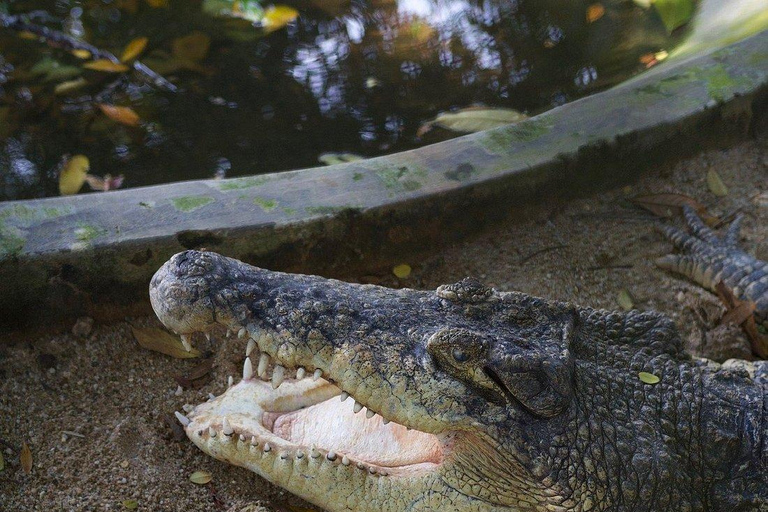 Melaka Crocodile & Recreation Park Admission Ticket