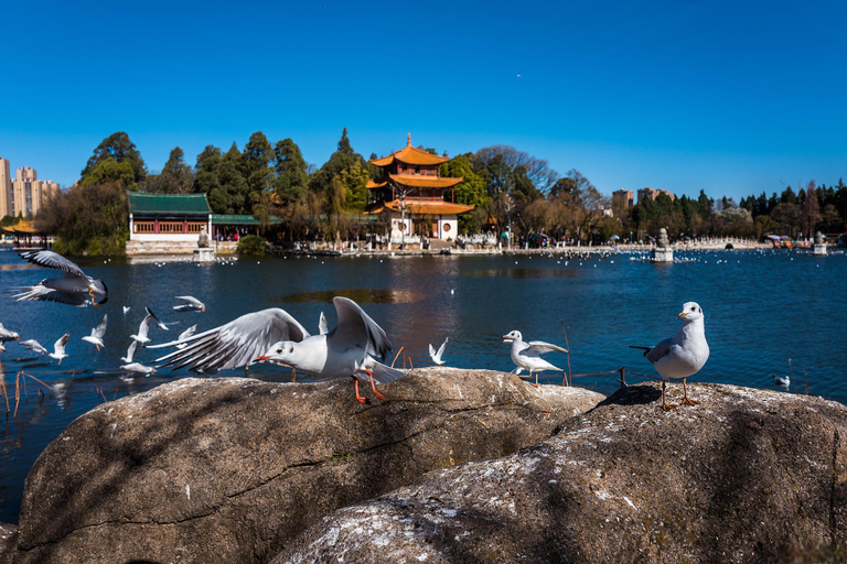 Kunming: 8-dagars rundtur i Yunnan med Dali och Lijiang