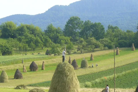 From Cluj-Napoca: Maramureș 3-Day Tour with Accommodation