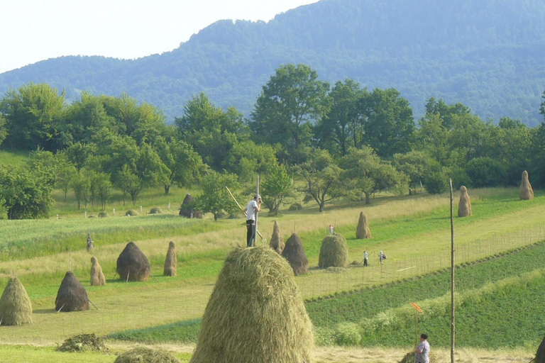 From Cluj-Napoca: Maramureș 3-Day Tour with Accommodation