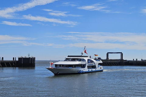 Cuxhaven: Boat tour to the seal banks in the Wadden Sea National Park
