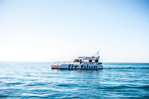 Málaga: Cruzeiro de catamarã com parada opcional para nadarPasseio Diurno de 1 Hora sem Parada para Mergulho