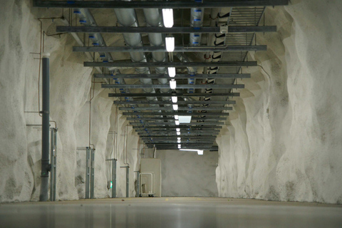 Underground Helsinki: A Finntastic Walking Tour in a Shelter Underground Helsinki