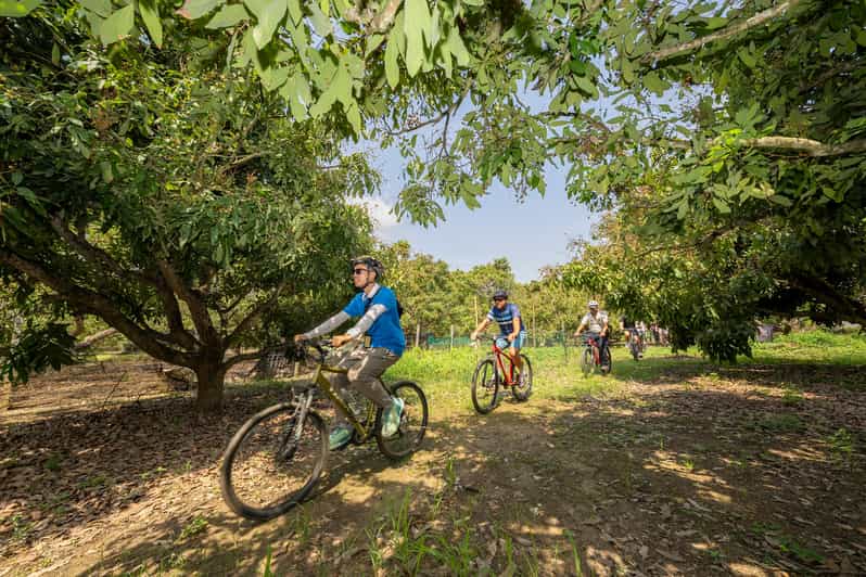 Chiang Mai: Half-Day Historical & Cultural Bike Tour