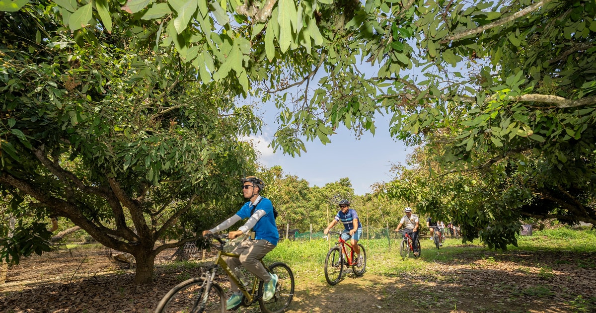 Chiang Mai: Half-Day Historical & Cultural Bike Tour | GetYourGuide
