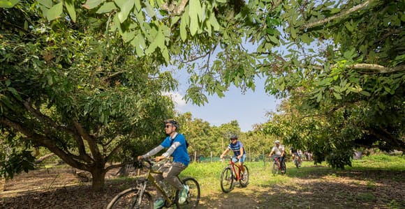 Chiang Mai: Half-Day Historical & Cultural Bike Tour