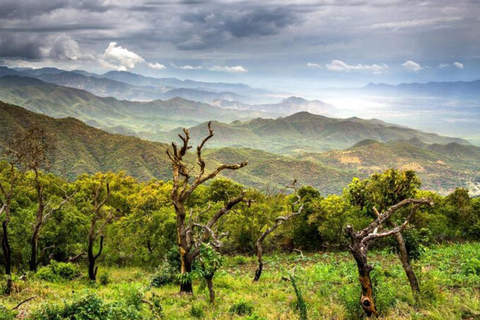 Chebera Churchura: Wildtiere &amp; malerische Ausblicke 4-tägige TourChebera Churchura: 4-tägige Tour mit Wildtieren und tollen Aussichten