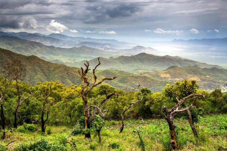 Chebera Churchura: Wildtiere &amp; malerische Ausblicke 4-tägige TourChebera Churchura: 4-tägige Tour mit Wildtieren und tollen Aussichten