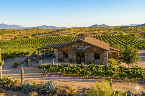 From Phoenix: Vortex to Vineyard Shared Tour Private Group 1-5