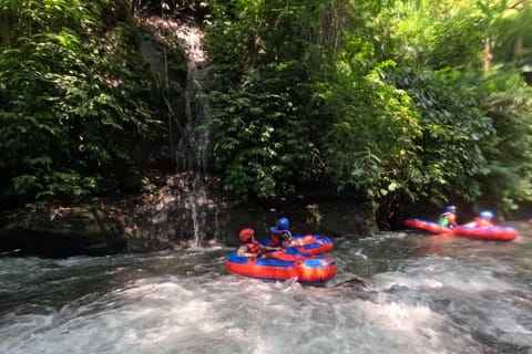 Bali: River Tubing, Coffee Plantation & Balinese House Tour - Image 2