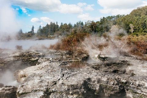 Whakarewarewa: Wejście na szlaki geotermalne