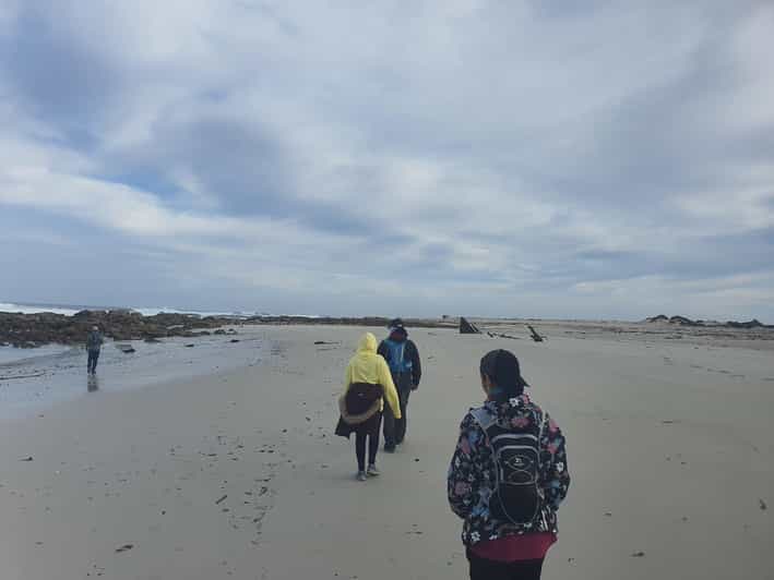 Cape Town to Cape Point: Full Day Private Guided Tour | GetYourGuide