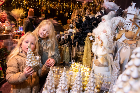 Private Winter Tour of The Hague