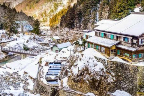 طوكيو جولة خاصة ليوم واحد في حديقة القرود الثلجية ومعبد زينكوجيجولة قرد الثلج ومعبد زينكوجي في سيا