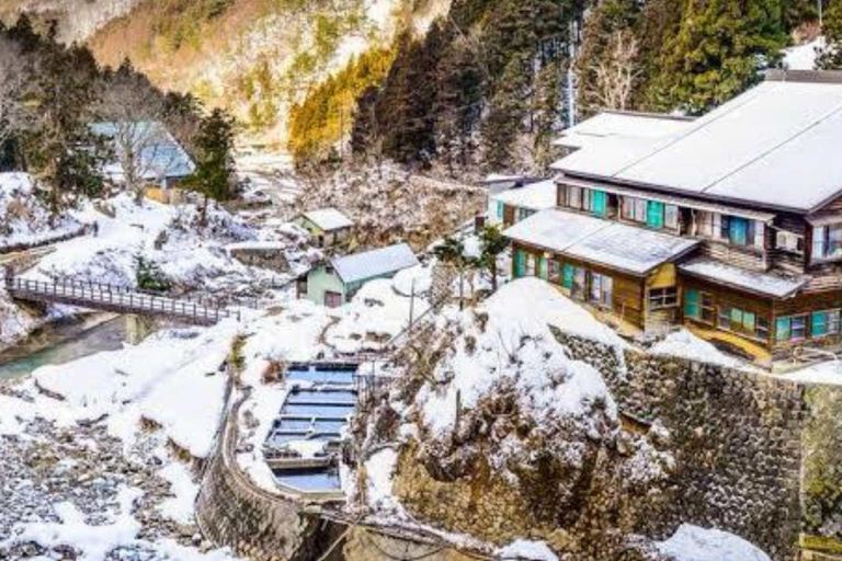 طوكيو جولة خاصة ليوم واحد في حديقة القرود الثلجية ومعبد زينكوجيجولة قرد الثلج ومعبد زينكوجي في سيا