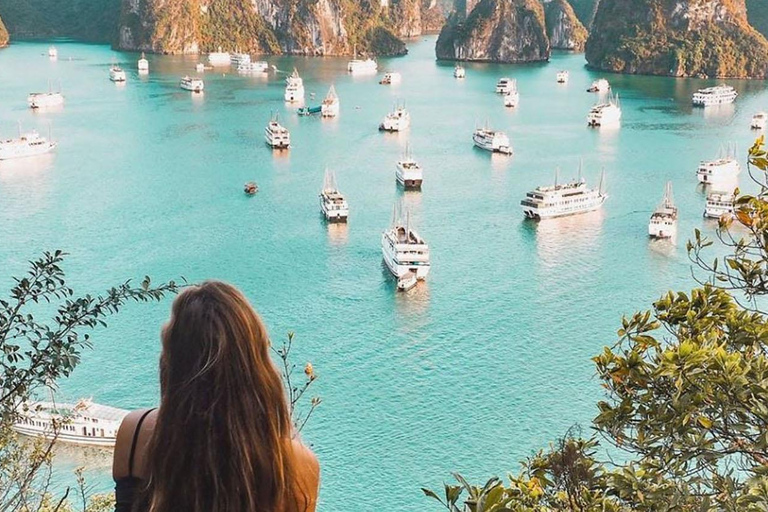 Leona Cruise: Ha Long Bay Day Tour with Cave & Titov Island Group Tour and Sharing Bus