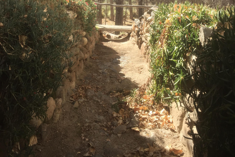 من سالتا: جولة إلى كاتشي &quot;رحلة عبر الزمن&quot;