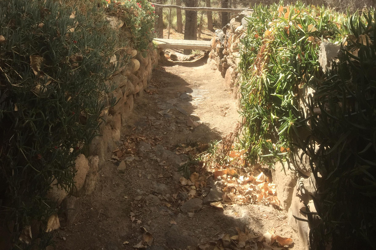 من سالتا: جولة إلى كاتشي &quot;رحلة عبر الزمن&quot;