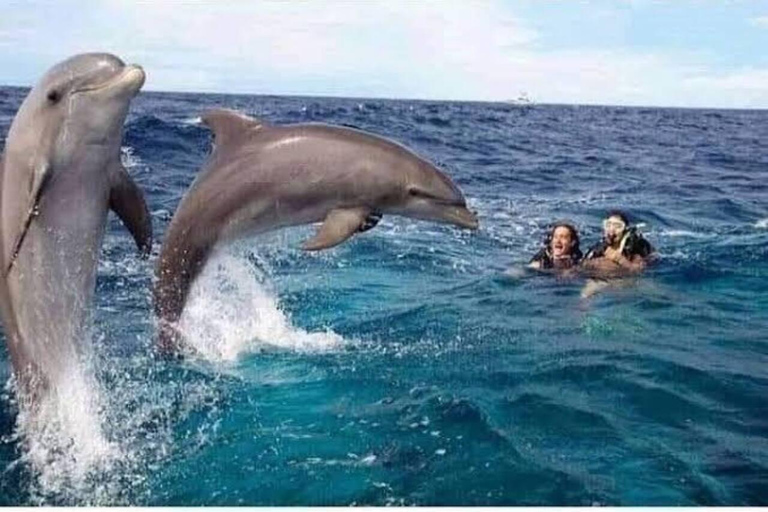 桑给巴尔：姆内姆巴海豚私人观光之旅和海龟游泳