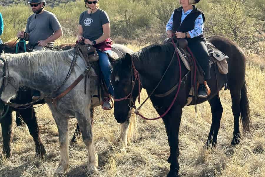 Tucson: Geführter Reitausflug. Foto: GetYourGuide Tucson: Geführter Reitausflug. Foto: GetYourGuide