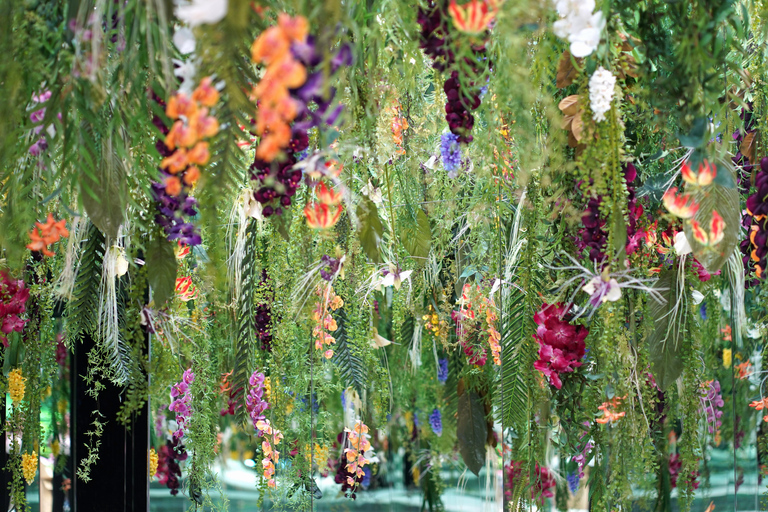 Gyeonggi Begonia Bird Park Ticket