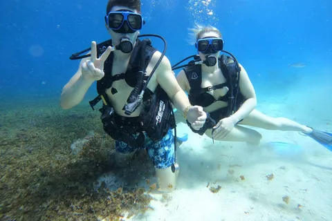 Cozumel : Découvrez la plongée sous-marine au parc marin de Chankanaab