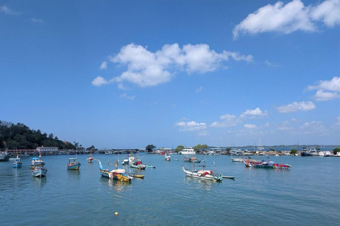 Mirissa: Whale & Dolphin Watching Boat Tour with Pickup Include Government Tax Fee