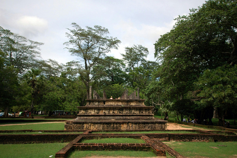 Polonnaruwa Ancient City & Minneriya Safari Full-Day Tour