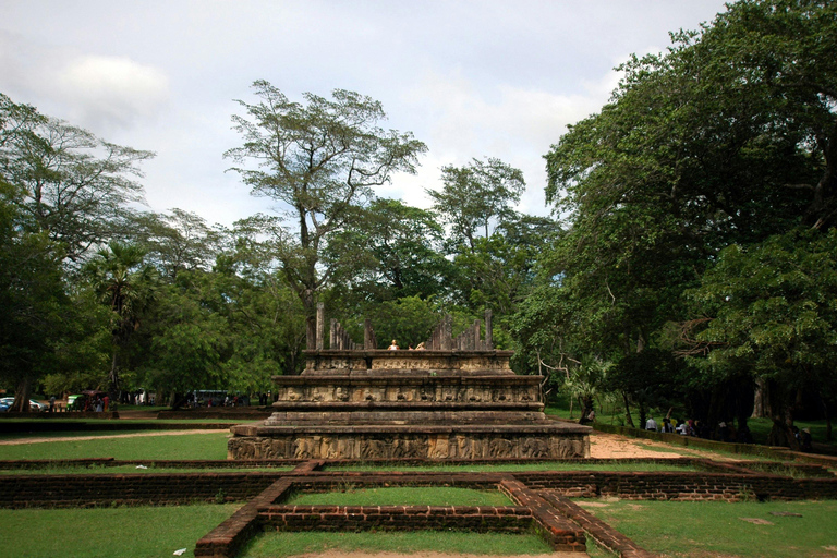 Polonnaruwa Ancient City & Minneriya Safari Full-Day Tour