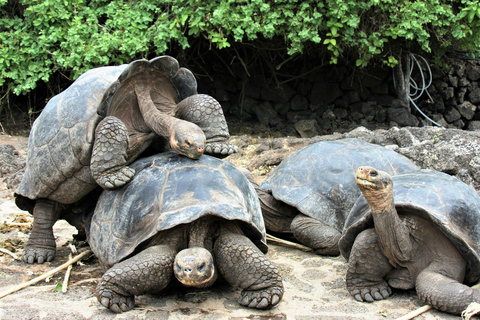 4-Day Galapagos Essential Budget Tour