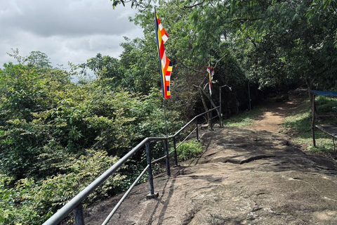 From Colombo: Gampaha District Temples & Jungle Hike Tour