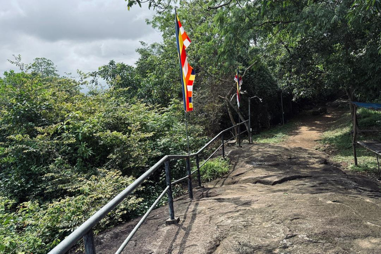 From Colombo: Gampaha District Temples & Jungle Hike Tour
