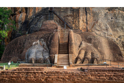 Kandy : Sigiriya - Dambulla Dagsutflykt