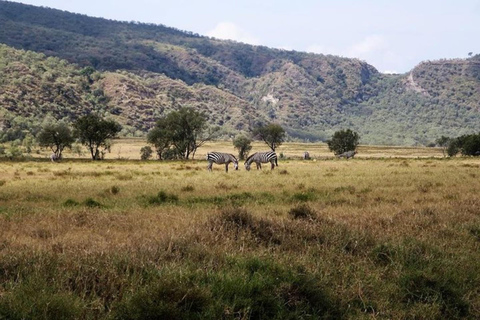 Från Nairobi: 8-dagars safari med det bästa av Kenya och Tanzania