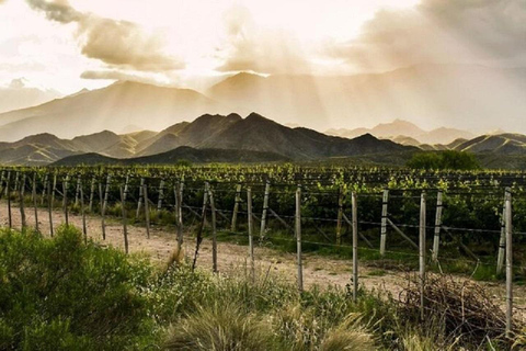 Mendoza : visite d'une jounée, visite et dégustation - 3 domaines viticolesRégion Maipu