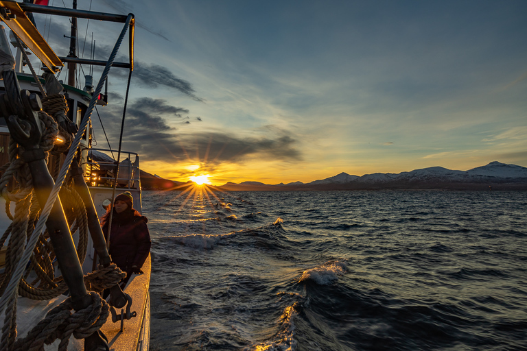 Tromsø: Crucero nocturno por el Ártico con sopa de pescado