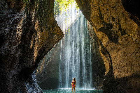 Bali: Ubud Waterfalls & Rice Terrace All Inclusive Tour Ubud Private Tour With Special Group