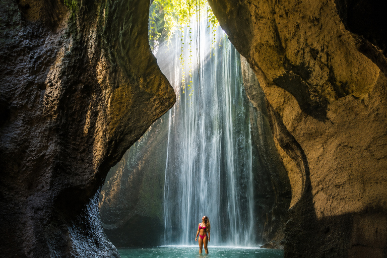 Bali: Ubud Waterfalls & Rice Terrace All Inclusive Tour Ubud Private Tour With Special Group