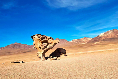 From Cusco: Full 6-Day Sightseeing Tour to the Uyuni Salt Flats - San Pedro de Atacama From Cusco: Complete Tour to Salar de Uyuni - San Pedro de Atacama 6 days