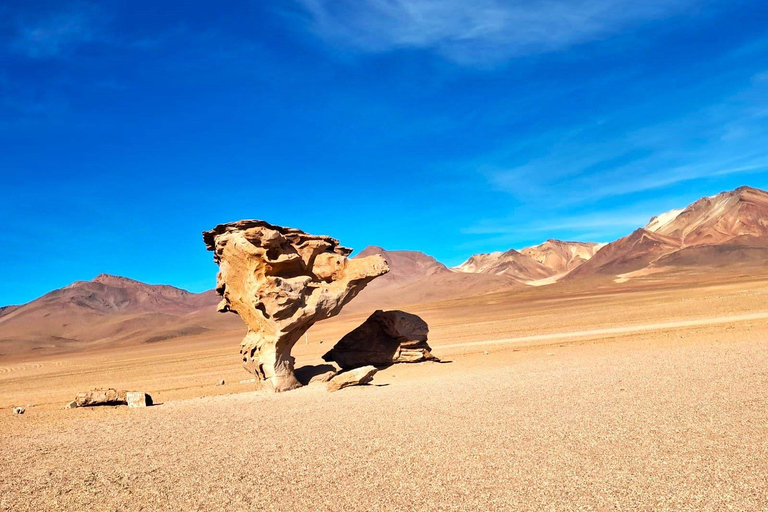 From Cusco: Full 6-Day Sightseeing Tour to the Uyuni Salt Flats - San Pedro de Atacama From Cusco: Complete Tour to Salar de Uyuni - San Pedro de Atacama 6 days