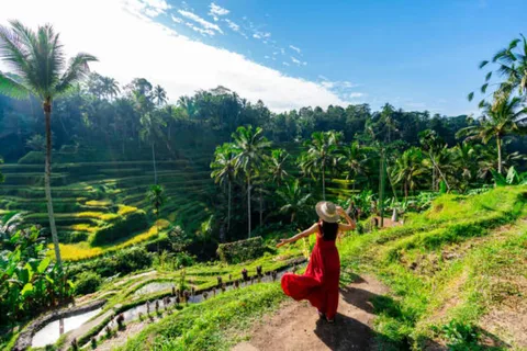 Da Ubud tour personalizzato di mezza giornata e di un giorno intero