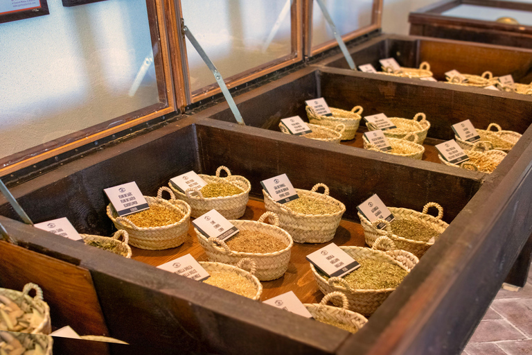 Casa Vermouth Padró: Vermouth tasting and guided visit in Bràfim (Tarragona) Vermouth tasting and guided visit in ENGLISH in Bràfim (Tarragona)