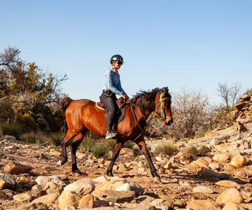 Montagu: 3-Day Horse Riding Adventure with Big 5 Safari