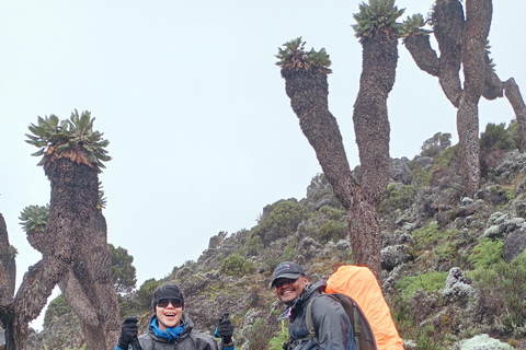 KILIMANJARO TREKKING 8 DAYS MACHAME ROUTE Mount Kilimanjaro climbing