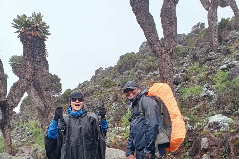 KILIMANJARO TREKKING 8 DAYS MACHAME ROUTE Mount Kilimanjaro climbing