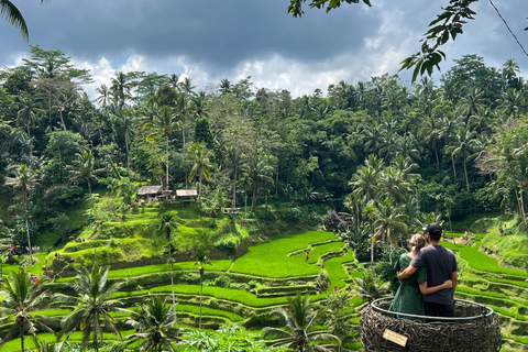 Floresta de macacos de Ubud, templo, terraço de arroz e balanço na selvaPasseio em Ubud - Tudo incluído