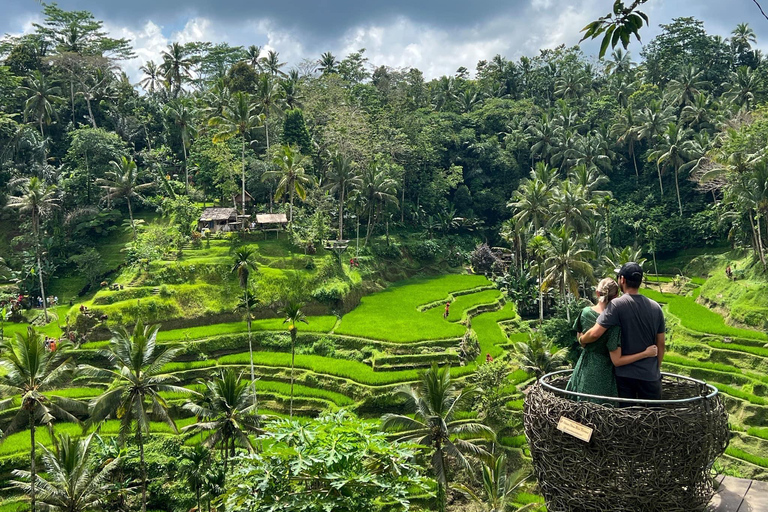 Ubud: Apenbos, Rijstterras, Schommel, Watertempel