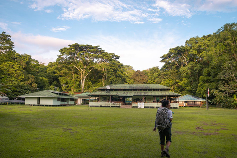 Parque Nacional del Corcovado: Dos días de selva y animales