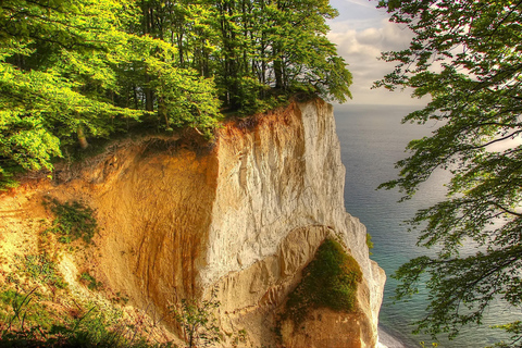 Au départ de Copenhague : Visite privée de Monsklint et de la Tour de la Forêt