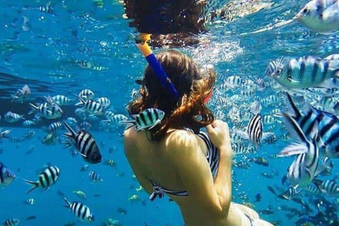 ZANZÍBAR: isla de la Prisión, natación en cuevas y Laguna Azul